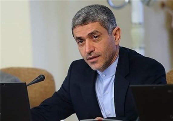 طیب نیا از فراهم بودن شرایط ایده آل برای سرمایه گذاری خارجی در ایران خبر داد