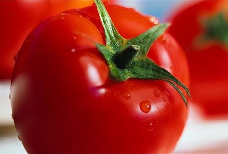 روسیه تحریم‌ کالاهای کشاورزی ترکیه را کلید زد